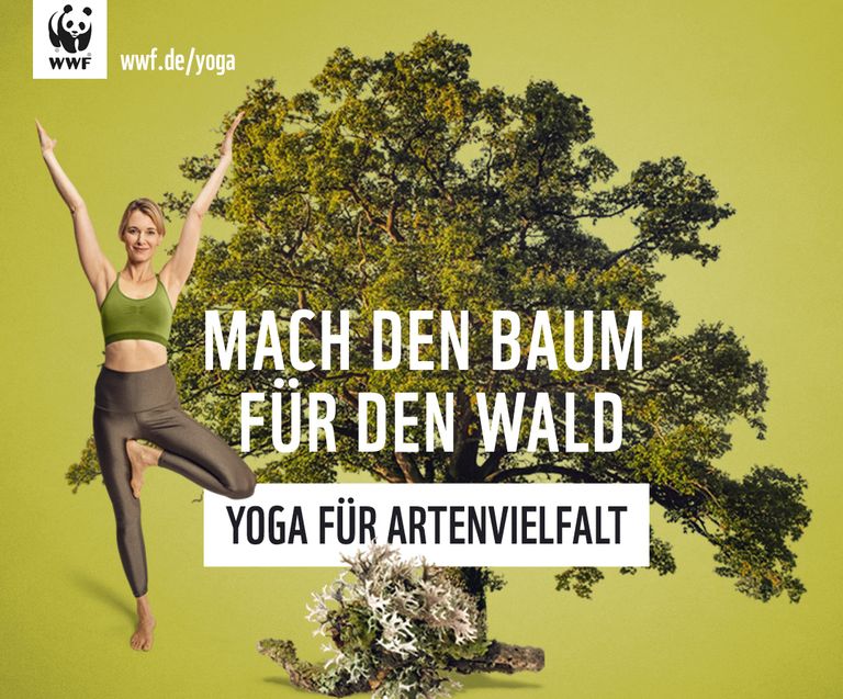 yoga für Artenvielfalt - mit yoga momente auf die Matte gehen und für eine vielfältige Zukunft spenden