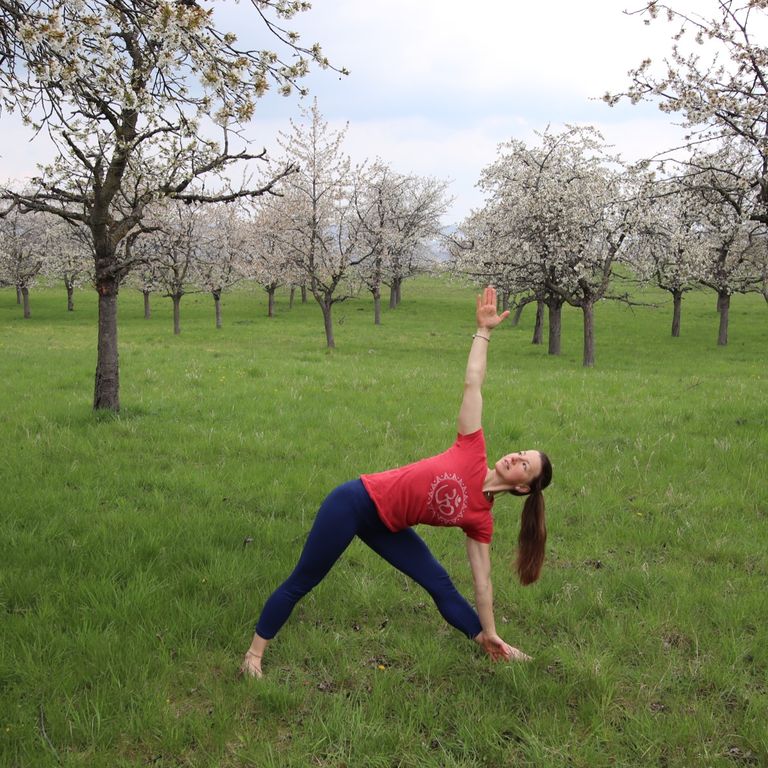 Dreieckshaltung (Trikonasana) vor blühenden Kirschbäumen