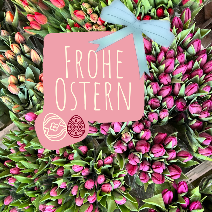 Firmenfitness mit Hansefit - wir sind jetzt Partner 