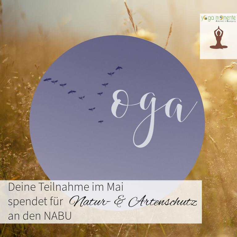 Gutschein für Yoga als Geschenk - Yoga verschenken